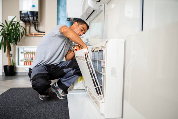 Air Duct Mold Removal in Monahans, TX